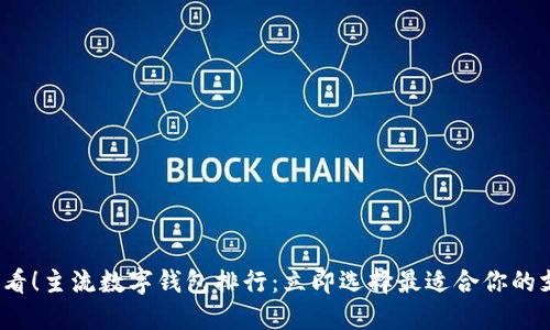 2025必看！主流数字钱包排行：立即选择最适合你的支付工具