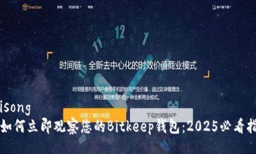  bisong   
  如何立即观察您的Bitkeep钱包：2025必看指南