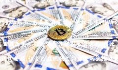 数字钱包的未来：2025必看趋势和即刻下载指南数