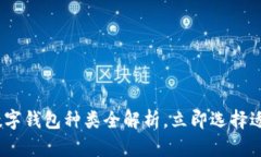 2025必看：数字钱包种类全解析，立即选择适合你