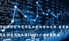 以下是关于如何给支付宝钱包加密的详细介绍，