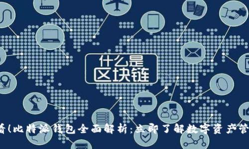 2025必看！比特派钱包全面解析：立即了解数字资产管理的未来