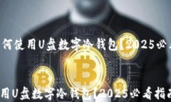     如何使用U盘数字冷钱包？2025必看指南！如何
