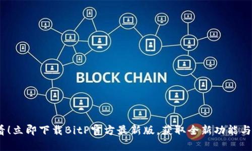 2025必看！立即下载BitP官方最新版，获取全新功能与更多惊喜