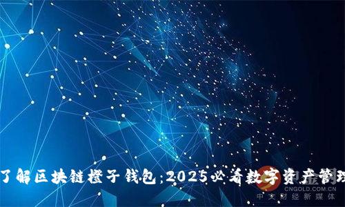 立即了解区块链橙子钱包：2025必看数字资产管理工具