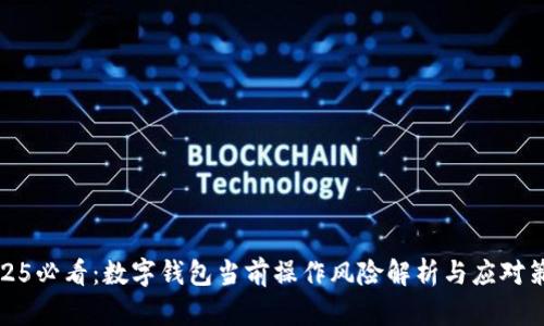 2025必看：数字钱包当前操作风险解析与应对策略