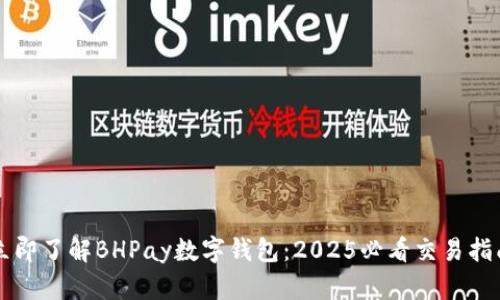 立即了解BHPay数字钱包：2025必看交易指南