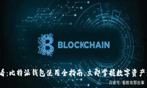 2025必看：比特派钱包使用全指南，立即掌握数字资产管理技巧
