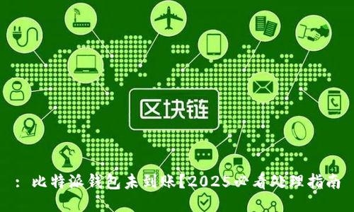 : 比特派钱包未到账？2025必看处理指南