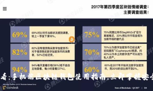 2025必看：手机端区块链钱包使用指南，立即掌握安全与便捷