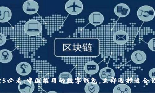 2025必看：中国能用的数字钱包，立即选择适合你的！