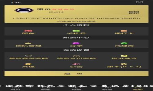 如何立即查询数字钱包余额和交易记录？2025必看指南