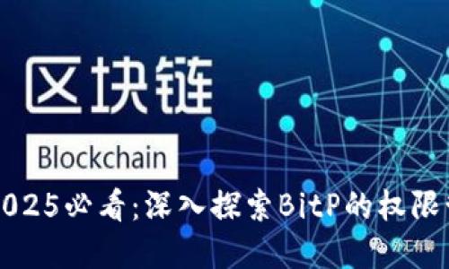 ### 2025必看：深入探索BitP的权限管理系统