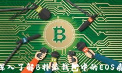 2025必看：深入了解B特派钱包中的EOS质押投票机制