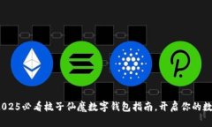 立即下载！2025必看梳子仙魔数字钱包指南，开启