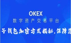 2025必看：电子钱包加密方式揭秘，保障您的财务