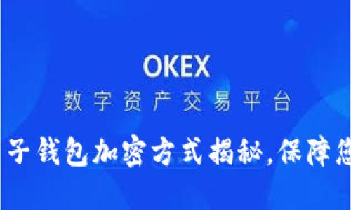 2025必看：电子钱包加密方式揭秘，保障您的财务安全！