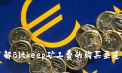 立即了解Bitkeep矿工费的购买渠道与技巧