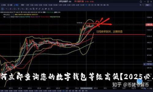 如何立即查询您的数字钱包等级高低？2025必看！
