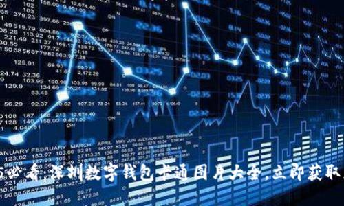 2025必看：深圳数字钱包卡通图片大全，立即获取灵感！