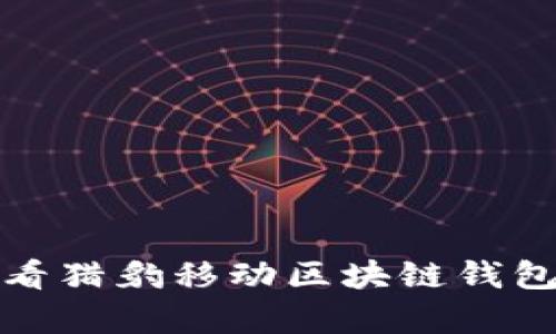 立即了解！2025必看猎豹移动区块链钱包的未来前景与应用