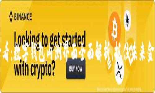 2025必看：数字钱包内测界面全面解析，抓住未来金融趋势！