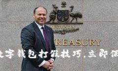 2025必看：数字钱包打假技巧，立即保护您的资产