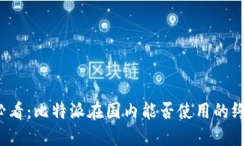 2025必看：比特派在国内能否使用的终极指南