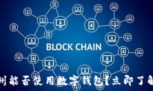   
2025年广州能否使用数字钱包？立即了解最新情况！