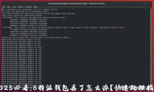 
2025必看：B特派钱包丢了怎么办？快速处理指南