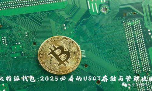 比特派钱包：2025必看的USDT存储与管理攻略