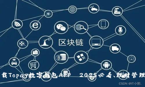 立即下载Topay数字钱包APP—2025必看、理财管理新选择