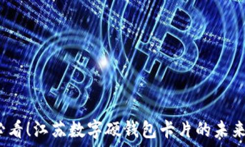   
2025必看！江苏数字硬钱包卡片的未来与发展