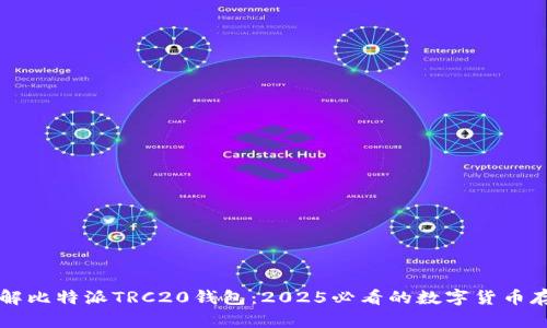 立即了解比特派TRC20钱包：2025必看的数字货币存储方案