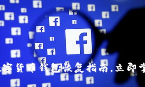 2025必看：数字货币钱包恢复指南，立即掌握关键技巧！