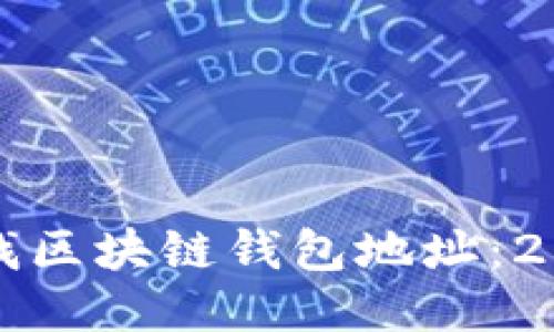 如何立即查找区块链钱包地址：2025必看指南