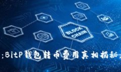 2025必看：BitP钱包转币费用真相揭秘，立即了解
