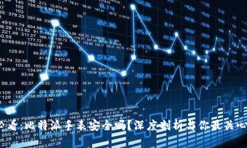 2025必看：比特派手表安全吗？深度剖析与你最关心的问题