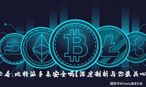 2025必看：比特派手表安全吗？深度剖析与你最关心的问题