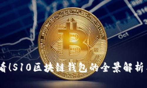 : 2025必看！S10区块链钱包的全景解析与应用技巧