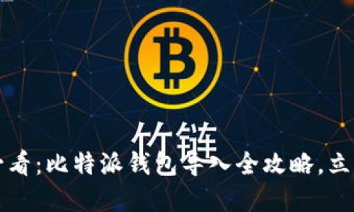 2025必看：比特派钱包导入全攻略，立即掌握！