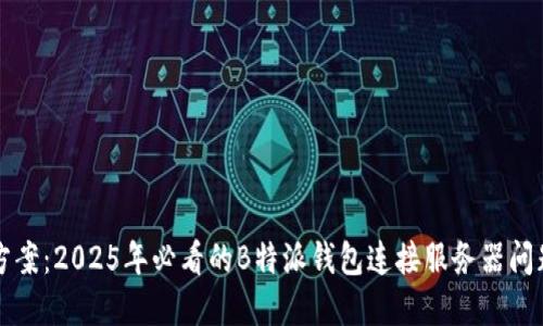 解决方案：2025年必看的B特派钱包连接服务器问题指南
