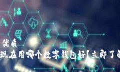 思考一个的优质2025必看：现在用哪个数字钱包好