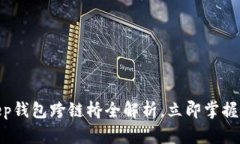 2023年必看：BitKeep钱包跨链桥全解析，立即掌握数