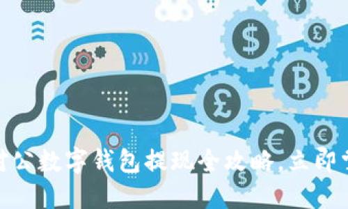 2025必看：对公数字钱包提现全攻略，立即掌握最佳方法