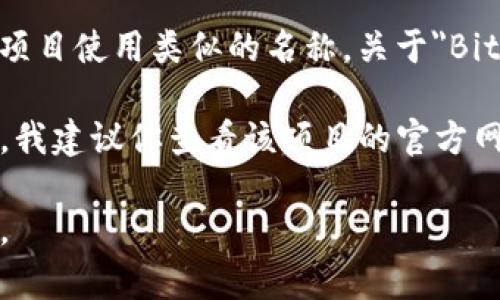 BitP并不是一个广为人知的公司名称，因此可能会有多个公司或项目使用类似的名称。关于