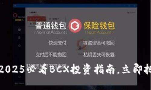 比特派：2025必看BCX投资指南，立即把握机遇！