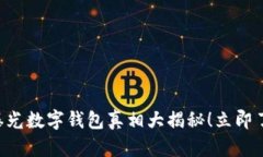 2025必看：315曝光数字钱包真相大揭秘！立即了解