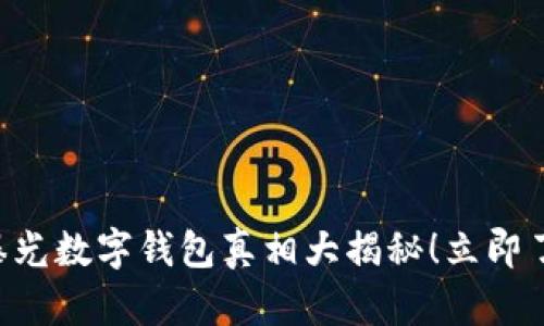 2025必看：315曝光数字钱包真相大揭秘！立即了解你的财产安全