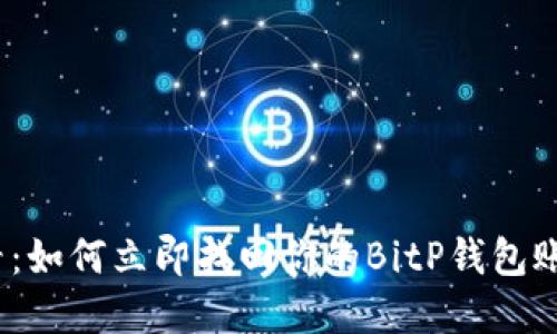 2025必看：如何立即找回你的BitP钱包账号和密码